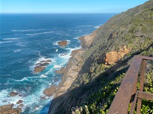 3.3 ha Land available in George Rural