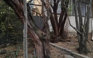 3 Bedroom House in Laezonia