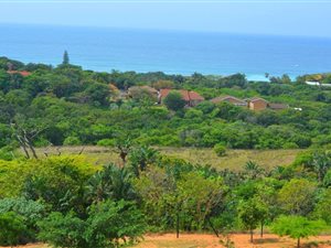 17 ha Farm in Oslo Beach