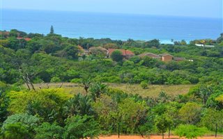 17 ha Farmland in Oslo Beach