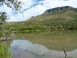 853 ha Farm in Graaff Reinet