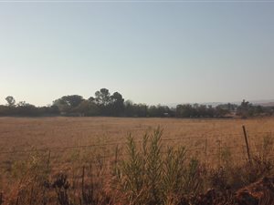 2 ha Land available in Lanseria and surrounds
