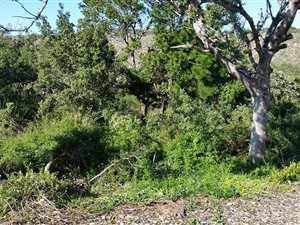 634 m² Land available in Groenvallei