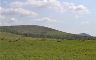 1.5 ha Land available in Sterkfontein and surrounds