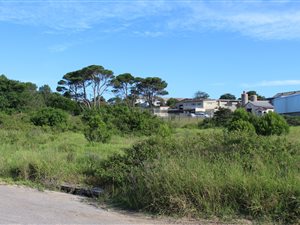 1787 m² Land available in Port Alfred
