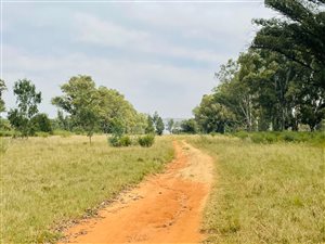 8 ha Farm in Lochvaal