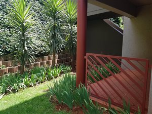 1 Bed Apartment in Morninghill
