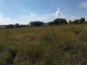 1.2 ha Land available in Brenthurst
