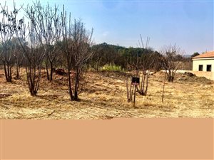 1029 m² Land available in Port D Afrique