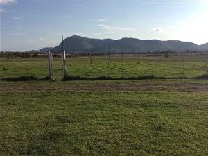 773 ha Farm in Polokwane Central
