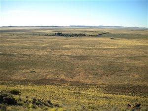 12878 ha Farm in Victoria West