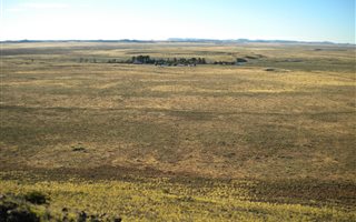 12878 ha Farm in Victoria West