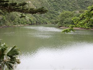 8.5 ha Farm in Gonubie