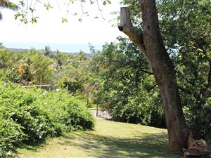 1404 m² Land available in Mtunzini