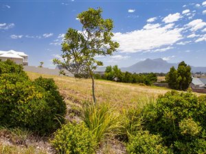 938 m² Land available in Kraaibosch