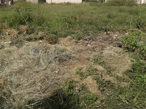 420 m² Land available in Osizweni