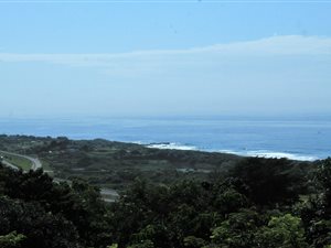 22 ha Farm in Hibberdene