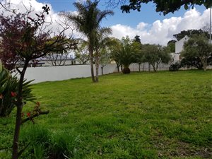 600 m² Land available in Franschhoek