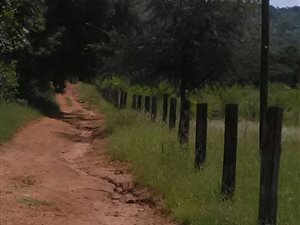3.5 ha Farm in Buffelshoek AH