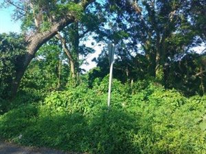 1467 m² Land available in Ashley