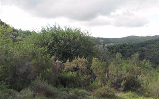 708 m² Land available in Eastford Cove