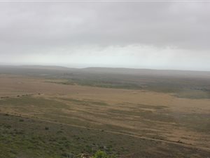 238 ha Farm in Mossel Bay Central