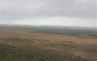 238 ha Farm in Mossel Bay Central