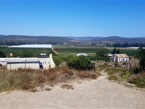 2 ha Farm in Bonnievale