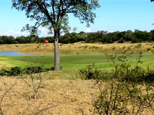 996 m² Land available in Euphoria Golf Estate