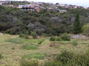 944 m² Land available in Dana Bay