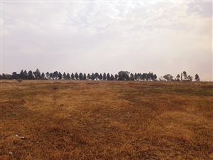35.7 ha Land available in Zuurfontein