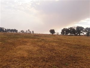 35.7 ha Land available in Zuurfontein