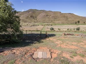 4.7 ha Smallholding in Underberg