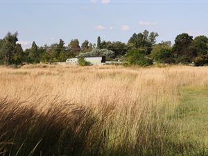 2 ha Farm in Doringkloof