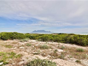 1 Bed Apartment in Bloubergstrand