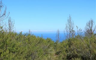 9 ha Land available in Plettenberg Bay