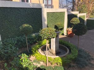 2 Bed Townhouse in Sterrewag