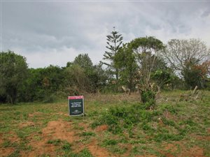 1036 m² Land available in Boesmansriviermond