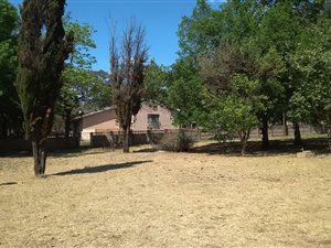8.5 ha Farm in Nelsonia
