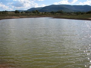 418 ha Farm in Mookgophong (Naboomspruit)