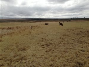 344 ha Farm in Ingagane