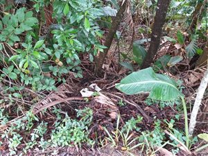 4891 m² Land available in Southbroom