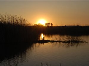 74 ha Farm in Klerksdorp