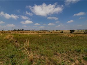 21.4 ha Land available in Knopjeslaagte