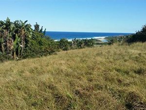 17.4 ha Farm in Oslo Beach