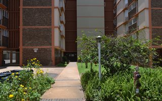 1 Bedroom Flat in Arcadia