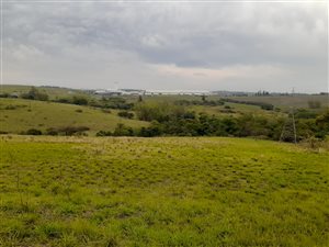 4 ha Farm in Shakaskraal