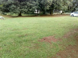 1180 m² Land available in Montrose