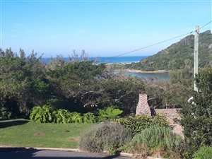 2 Bed House in Glen Eden
