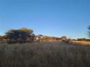 23.1 ha Farm in Bendor